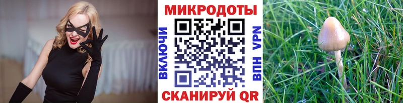 Галлюциногенные грибы Cubensis купить наркоту Благодарный