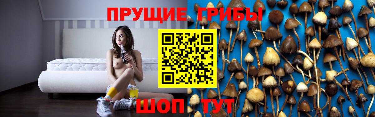 Галлюциногенные грибы Cubensis  Псилоцибиновые грибы MAGIC MUSHROOMS  Вход с VPN  Благодарный 